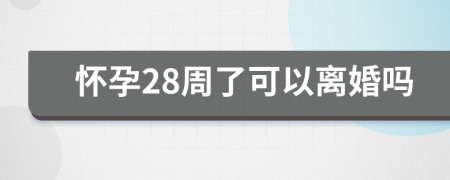 怀孕28周了可以离婚吗