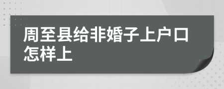 周至县给非婚子上户口怎样上