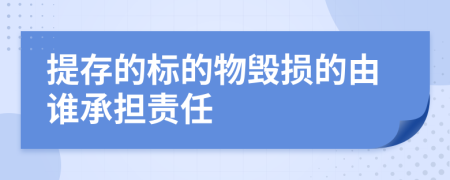 提存的标的物毁损的由谁承担责任