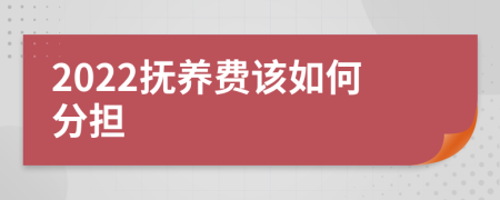 2022抚养费该如何分担