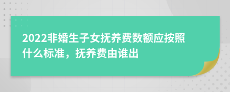 2022非婚生子女抚养费数额应按照什么标准，抚养费由谁出