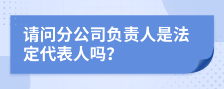 请问分公司负责人是法定代表人吗？