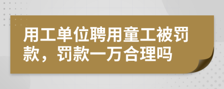 用工单位聘用童工被罚款，罚款一万合理吗