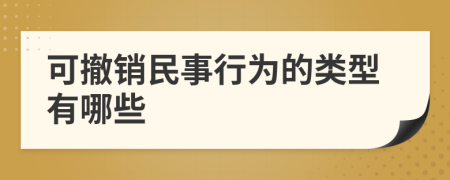 可撤销民事行为的类型有哪些