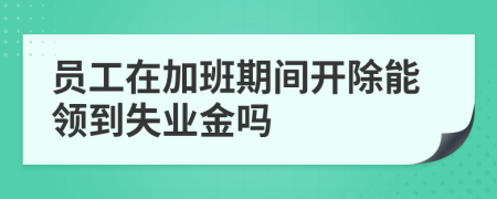 员工在加班期间开除能领到失业金吗