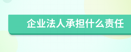 企业法人承担什么责任