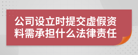 公司设立时提交虚假资料需承担什么法律责任