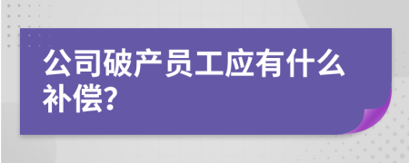 公司破产员工应有什么补偿？