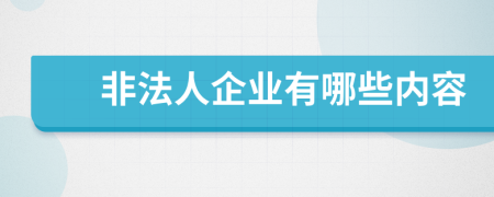 非法人企业有哪些内容