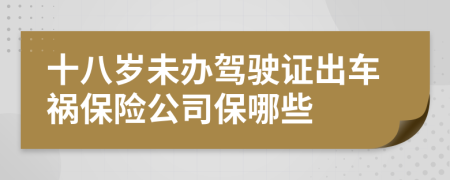 十八岁未办驾驶证出车祸保险公司保哪些