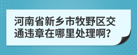 河南省新乡市牧野区交通违章在哪里处理啊？