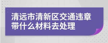 清远市清新区交通违章带什么材料去处理