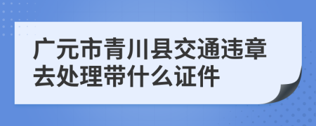 广元市青川县交通违章去处理带什么证件