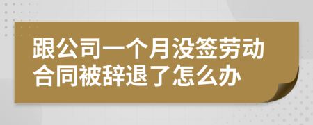 跟公司一个月没签劳动合同被辞退了怎么办