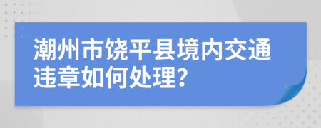 潮州市饶平县境内交通违章如何处理？