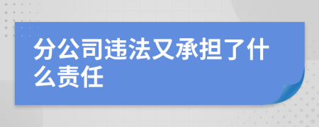 分公司违法又承担了什么责任