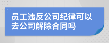 员工违反公司纪律可以去公司解除合同吗