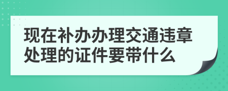 现在补办办理交通违章处理的证件要带什么