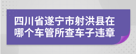 四川省遂宁市射洪县在哪个车管所查车子违章