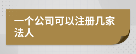 一个公司可以注册几家法人