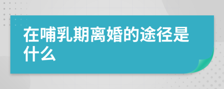 在哺乳期离婚的途径是什么