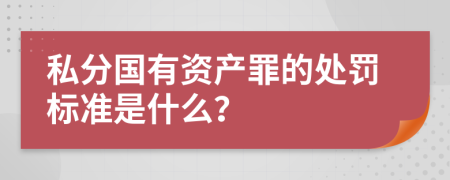 私分国有资产罪的处罚标准是什么？