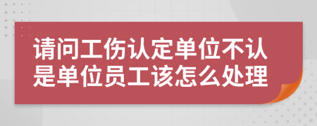 请问工伤认定单位不认是单位员工该怎么处理