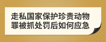 走私国家保护珍贵动物罪被抓处罚后如何应急