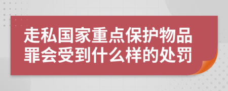 走私国家重点保护物品罪会受到什么样的处罚