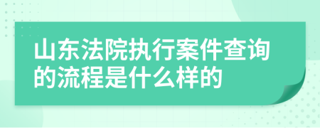 山东法院执行案件查询的流程是什么样的