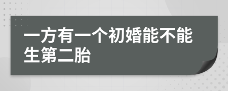 一方有一个初婚能不能生第二胎