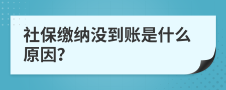 社保缴纳没到账是什么原因？