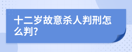 十二岁故意杀人判刑怎么判?