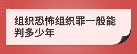 组织恐怖组织罪一般能判多少年