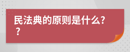 民法典的原则是什么? ?