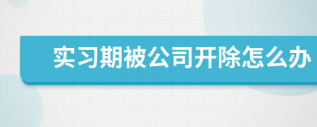 实习期被公司开除怎么办