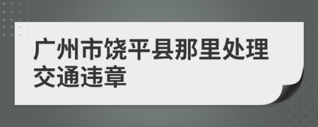 广州市饶平县那里处理交通违章