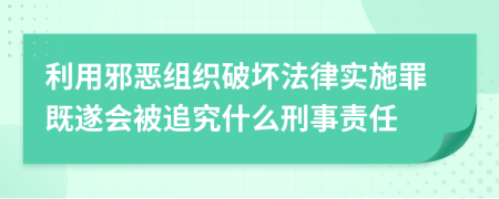 利用邪恶组织破坏法律实施罪既遂会被追究什么刑事责任