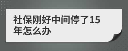 社保刚好中间停了15年怎么办