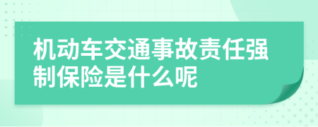 机动车交通事故责任强制保险是什么呢