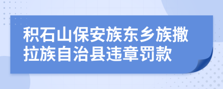 积石山保安族东乡族撒拉族自治县违章罚款