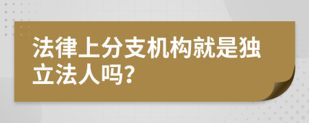 法律上分支机构就是独立法人吗？