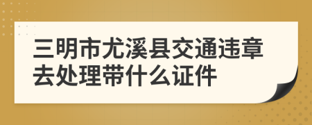 三明市尤溪县交通违章去处理带什么证件