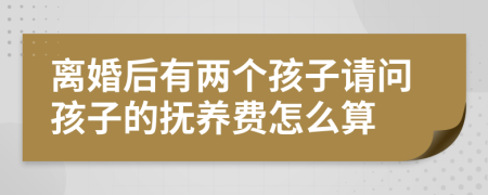 离婚后有两个孩子请问孩子的抚养费怎么算