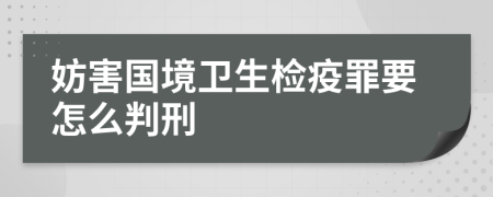 妨害国境卫生检疫罪要怎么判刑