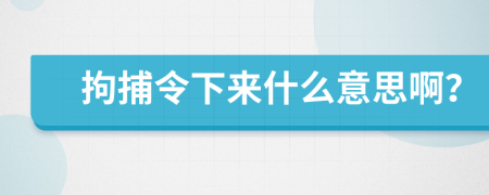 拘捕令下来什么意思啊？