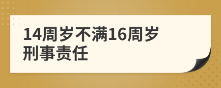 14周岁不满16周岁刑事责任