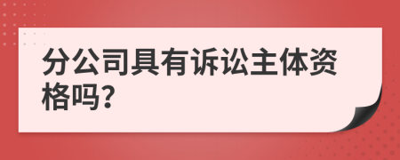 分公司具有诉讼主体资格吗？