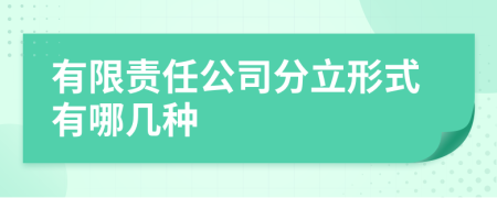 有限责任公司分立形式有哪几种