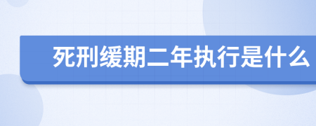 死刑缓期二年执行是什么